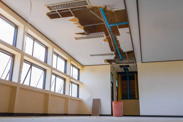 Best Flooded house restoration  in Manchaca, TX