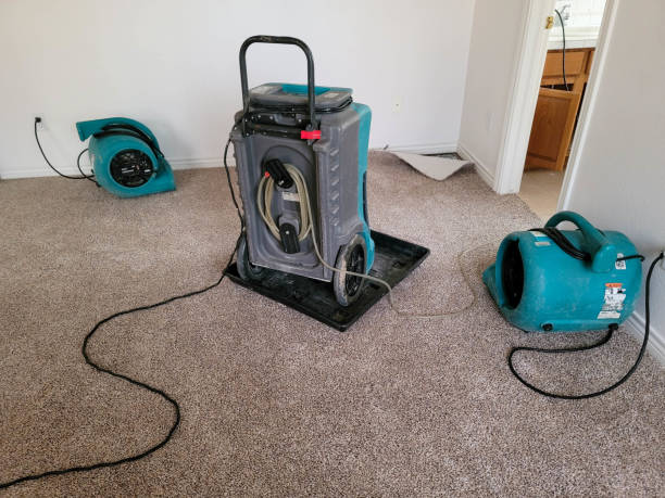 Sewage cleanup and water damage restoration in Manchaca, TX