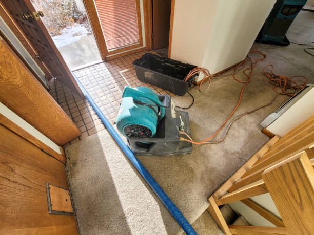 Manchaca, TX Water damage restoration Company
