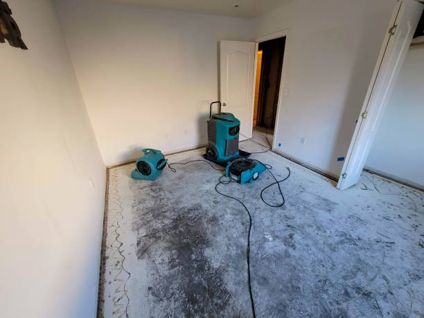 Best Mold removal after water damage  in Manchaca, TX