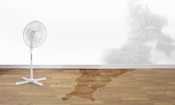 Best Water damage contractors near me  in Manchaca, TX