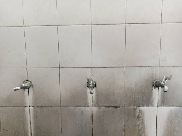 Best Sewage cleanup and water damage restoration  in Manchaca, TX