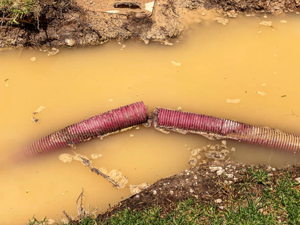 Best 24-hour water damage restoration  in Manchaca, TX