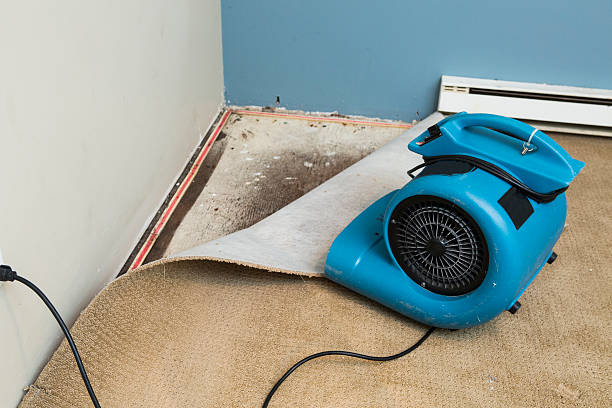 Carpet water damage restoration in Manchaca, TX